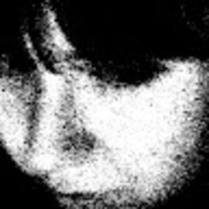 Meet your Posher, Jen